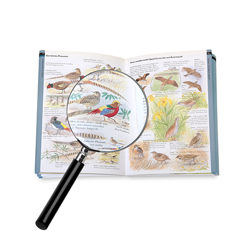 Executive Magnifying Glass - Classic Sherlock Holmes -  3 inch / 90mm 